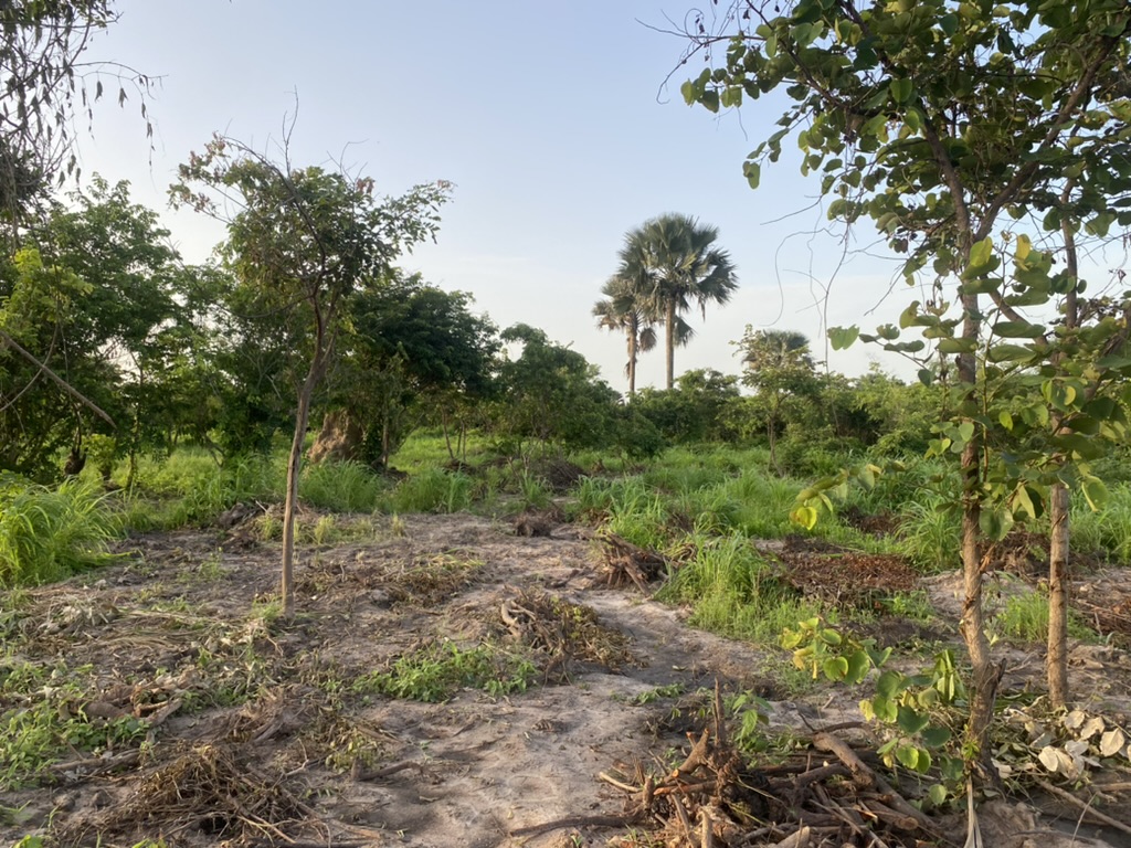 Losing access to our farm land – and building back for enhanced&nbsp;sustainability!