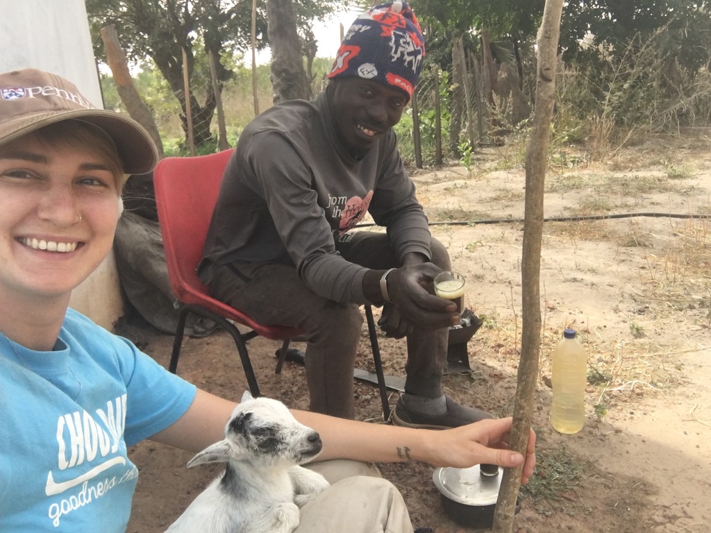 Welcome to FAIR Farms&nbsp;Gambia!